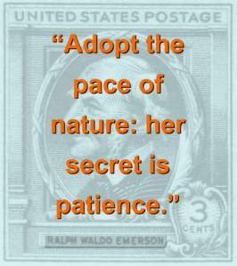 Adopt The Pace Of Nature - RW Emerson